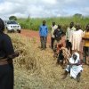 debriefing farmers before harvesting in techiman